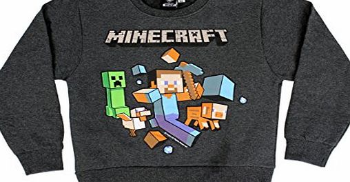 Character UK Character Boys Minecraft Sweatshirt Age 9 to 10 Years