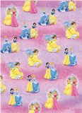 Characters 4 Kids Disney Princess Gift Wrap & Tags (2 of each in Pack)