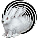 Childrensalon The Incredible Expanding Bunny Optical Illusion Toy