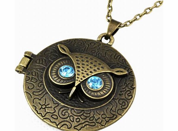 chinkyboo Vintage Antiqued Brass Owl Locket Long Pendant Necklace Blue Zircon Eye