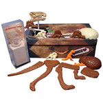 Chocolate Activity Box - Dinosaur Exploration Case