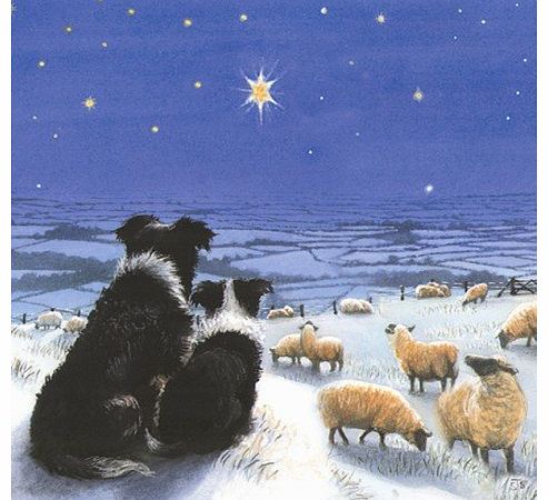 Christmas cards Winters Watch Border Collie 