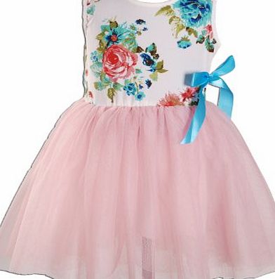 Cinda Clothing Cinda Girls Flower Party Dress Pink 3-4 Years
