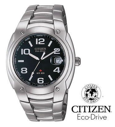 citizen eco drive watch band