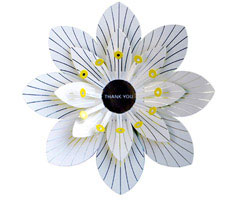 Clara von Zweigberg Thank you Card White