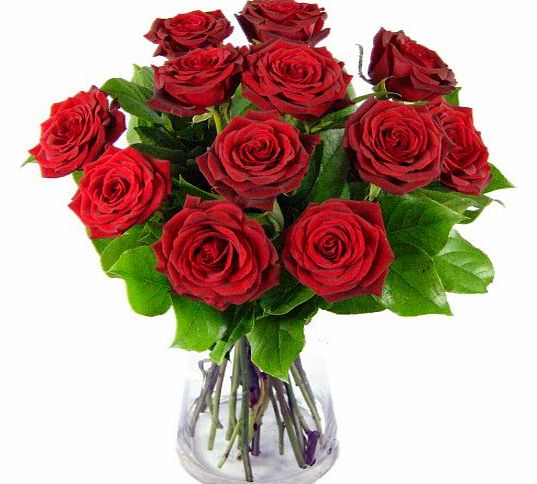 12 Red Roses Fresh Flower Bouquet