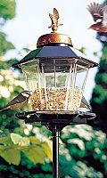 Classic Coach Lamp Bird Feeder with Free Window Feeder