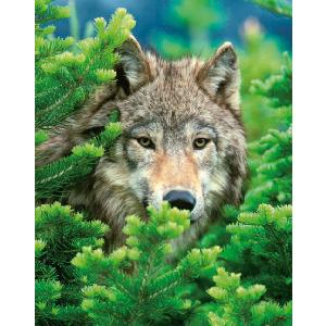 The Wolf 500 Piece Jigsaw Puzzle