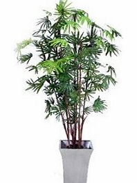 Closer To Nature  Artificial 6ft Finger Palm Tree - Artificial Silk Plant and Artificial Tree Range