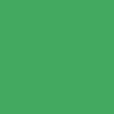 Colorama 1.35x11m - ChromaGreen