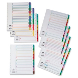 1-20 Punched Pocket Multicolour Indexes