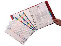 Concord CS98 extra wide multi coloured dividers,