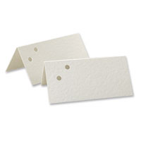 Confetti 10 blank ivory 2-hole place cards