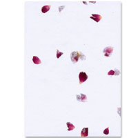 Confetti A4 exotic rose petal paper pack 10
