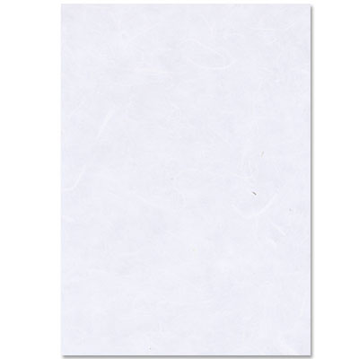 A4 exotic white silk paper pack 10
