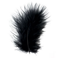 Confetti black marabou feathers pk20