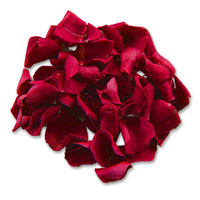 Burgundy rose petals