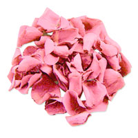 Hot pink rose petals