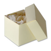 Confetti Ivory ribbed favour boxes - pack of 10