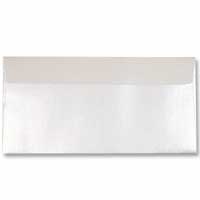Confetti Pearl DL envelopes pk of 10