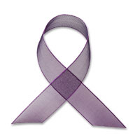 Confetti purple chiffon ribbon - W38mm