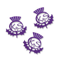 Confetti purple thistle personalised metallic confetti