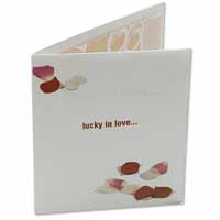 Confetti Red scatter petals lottery holder pk of 10