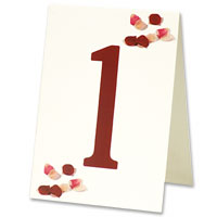 Confetti Red scatter petals table numbers 10 pack
