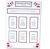 Confetti Red scatter petals table planner kit