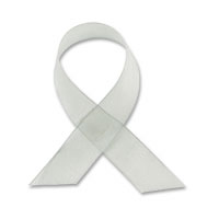Confetti silver chiffon ribbon - W38mm