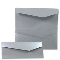 Confetti Silver DL cheque bk pocket pk10