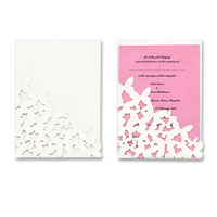 Confetti White butterfly kiss A6 outer pocket pk of 10
