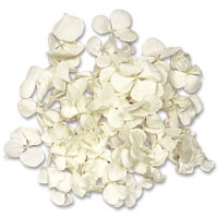 Confetti White hydrangea petals in acetate box