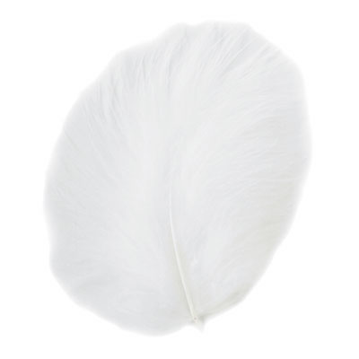 white marabou feathers pk20