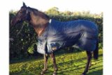 Confidence Equestrian 300g Winter Stable Horse Rug Green 5ft 9