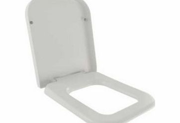 Diagonal Toilet Seat