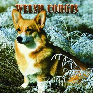 Corgi Welsh Calendar