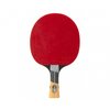 Excell 2000 Carbon PHS Table Tennis Bat