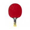 Excell 3000 Carbon PHS Table Tennis Bat