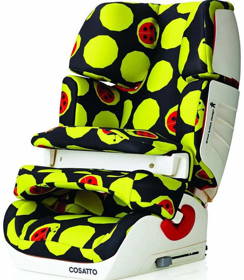 Troop 123 Car Seat Ladybug 2014