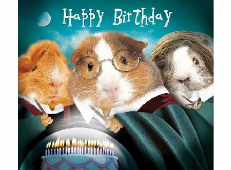 Crazy Crew Guinea Pig Harry Potter Wizard School Birthday Card