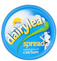 Dairylea Spread (200g)