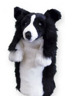 Daphneand#39;s Headcovers DAPHNE` BORDER COLLIE HEADCOVER