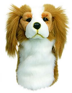 DAPHNE` KING CHARLES HEADCOVER
