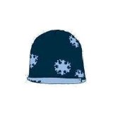 Ladies Frosted Hat