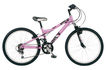 Dawes Bandit 2010 Girls Kids Bike (24