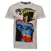 Superman Eagle T-Shirt (White)