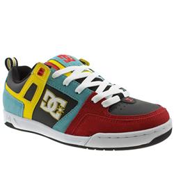 Male Centre Suede Upper Dc Shoes in Multi