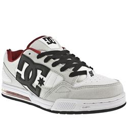 Male General Sn Manmade Upper Dc Shoes in White and Silver