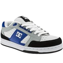 Male Pinnacle Leather Upper Dc Shoes in White and Blue